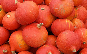 Wallpaper Krbisse pumpkins