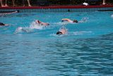 IMG_8696