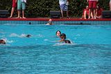 IMG_8698