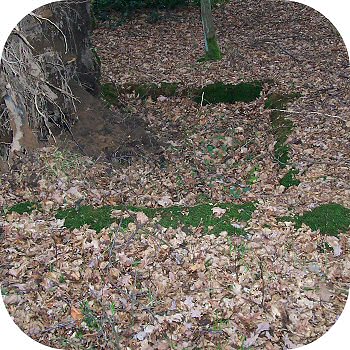 Schtzengraben Lohmar
