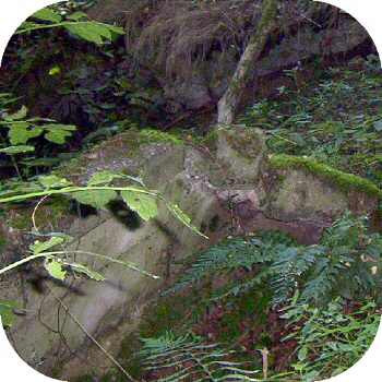 Seligenthal Wahnbachtal